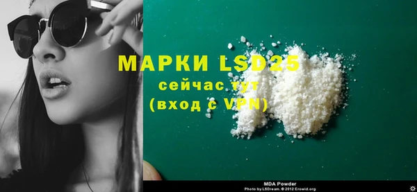 PSILOCYBIN Лагань