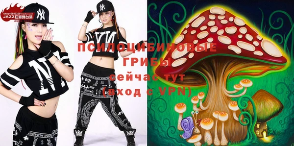 PSILOCYBIN Лагань