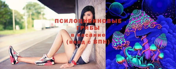 спайс Ладушкин