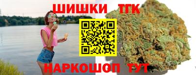 прущие грибы Канаш