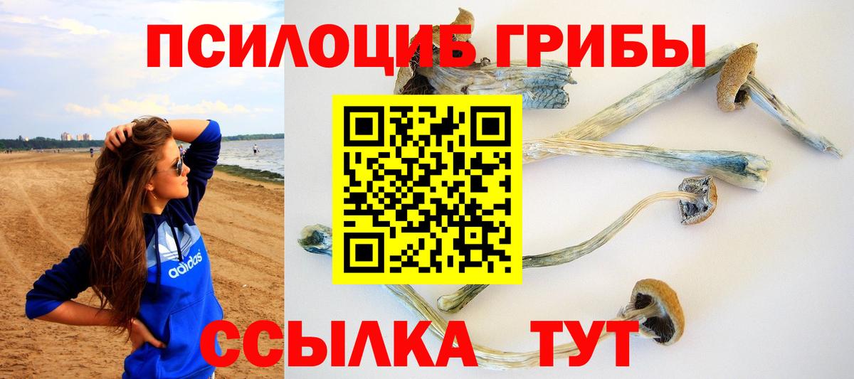 Галлюциногенные грибы Cubensis  Вход с VPN  Урус-Мартан 