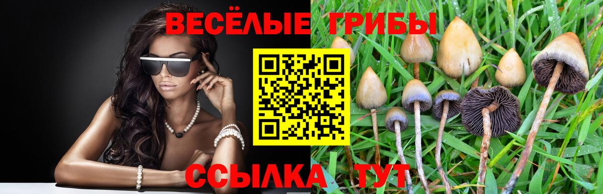 Псилоцибиновые грибы ЛСД Урус-Мартан